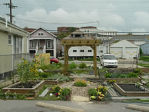 First Grace's Community Garden
